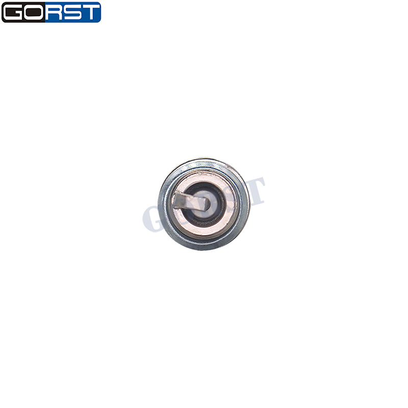 10 Stuks M14x1.25 Dubbele Irid - Bosch Spark Plug Iridium recensie en prijs